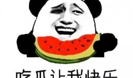 吃瓜群众azz,揭秘娱乐圈幕后故事