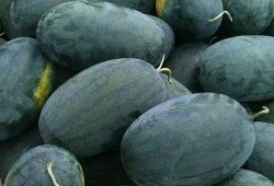 吃瓜产区,揭秘我国吃瓜产区的魅力与特色