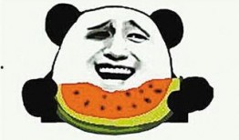 吃瓜群众有什么瓜可以吃,吃瓜群众必看的瓜界盛宴