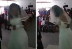 婚庆吃瓜视频,笑料百出，甜蜜瞬间尽收眼底