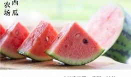 吃瓜上市短剧,揭秘娱乐圈背后的短剧风云