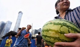 邀请邻居吃瓜,一场欢乐的夏日邻里聚餐