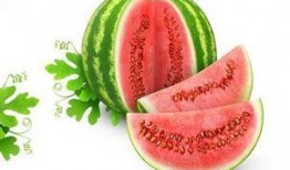 反向吃瓜唐青青,反向吃瓜，揭秘娱乐圈背后的真相