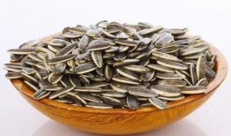 吃瓜的小瓜子,揭秘吃瓜小瓜子的魅力与故事