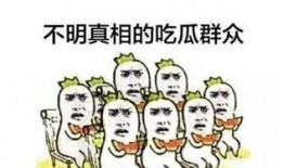 细心的吃瓜群众