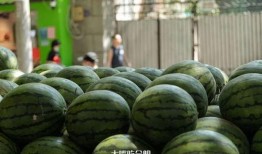 夏天吃瓜的记忆,回忆满溢