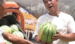 王老师吃瓜真实缅北,真实缅北吃瓜事件背后的故事