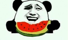 吃瓜流量小生,揭秘娱乐圈背后的真相