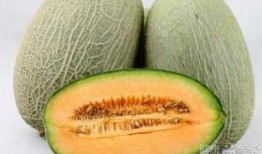 吃腐烂的哈密瓜会怎样,揭秘食用腐烂哈密瓜的危害