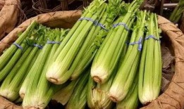 自贡幼师吃瓜,揭秘幼教行业背后的“瓜田”