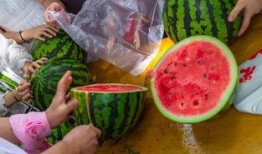 儿童吃瓜视频大全