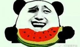 吃瓜群众梁大爷,揭秘娱乐圈那些事儿