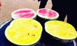 山西吃瓜爆料,揭秘当地奇闻轶事