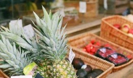 吃瓜秘密基地最新,探寻娱乐圈幕后真相