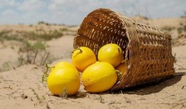 美团专家吃瓜,揭秘美食背后的秘密