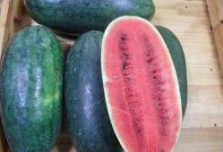 吃瓜爆黑,吃瓜爆黑，真相大白