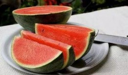 景宁消防吃瓜,一场意外引发的网络热议