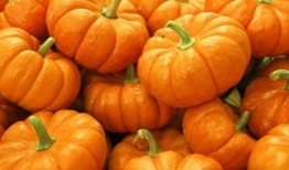 影梦吃瓜,揭秘娱乐圈幕后故事