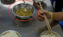 濉溪中学吃瓜,揭秘校园里的“瓜田”风云