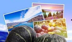 新西兰博士吃瓜,新西兰博士的“吃瓜”奇遇记