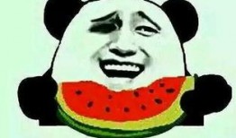 寝室楼下吃瓜,揭秘寝室楼下吃瓜背后的校园生活趣事