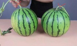 吃瓜都不甜的年代,那些难忘的岁月与味道