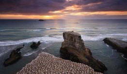 海滩拍照吃瓜图片