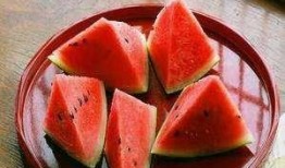 免费吃瓜 吐籽,揭秘瓜界新潮流