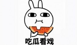 浪子断吃瓜,探寻人生新境界