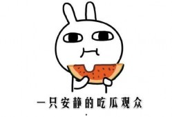 吃瓜都有什么含义,揭秘网络热点的多重含义与影响