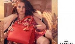 selena吃瓜,揭秘明星背后的那些事儿