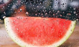 春雪吃瓜,一场别开生面的吃瓜盛宴