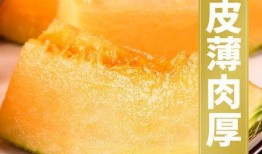 吃海南玫珑瓜网纹瓜声控,尽享海南网纹瓜美味之旅