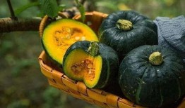 吃板栗瓜的说说