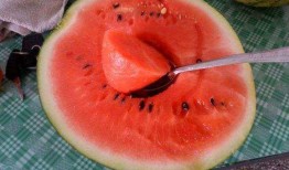 吃瓜网友自己的瓜,一场网络八卦盛宴