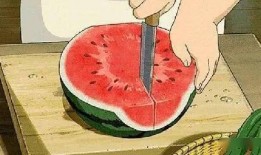 疾控中心吃瓜,吃瓜背后的健康秘密