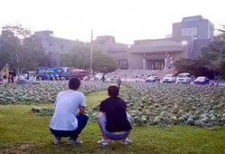 安阳师范吃瓜事件,校园风波背后的真相与反思