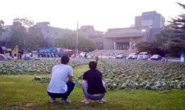 安阳师范吃瓜事件,校园风波背后的真相与反思