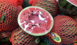 月下在线吃瓜,揭秘网络吃瓜文化的魅力与争议