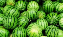 吃瓜爆黑,吃瓜爆黑，真相大白