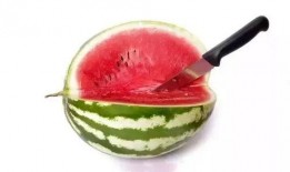 吃更高端瓜,探索高端瓜果的奢华之旅