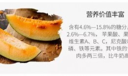 吃瓜本呱直,揭秘娱乐圈那些不为人知的幕后故事