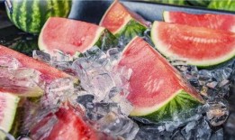 加菲现场吃瓜,萌宠视角下的夏日狂欢