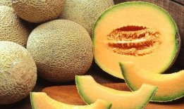 哈密瓜能不能晒干吃呢,晒干哈密瓜可否成为新食尚？